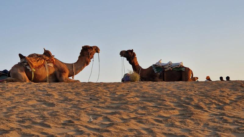      Rajasthan Thar Desert Tour     